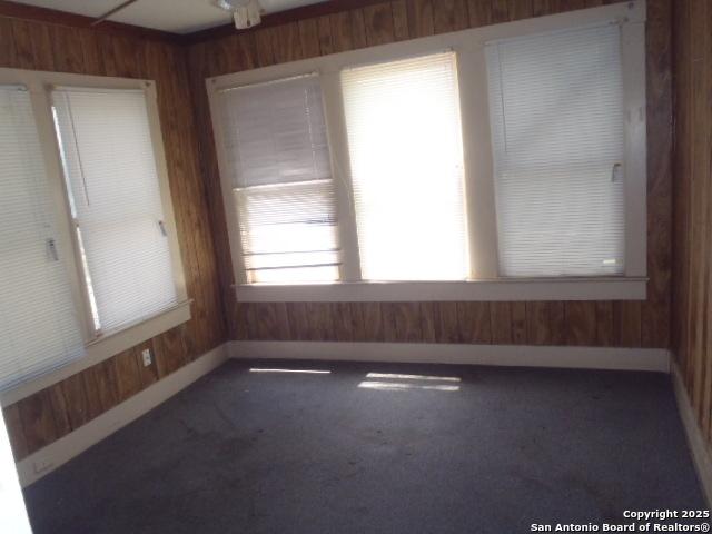 spare room with baseboards, wooden walls, and carpet