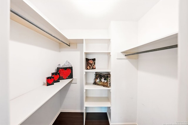 walk in closet featuring wood finished floors