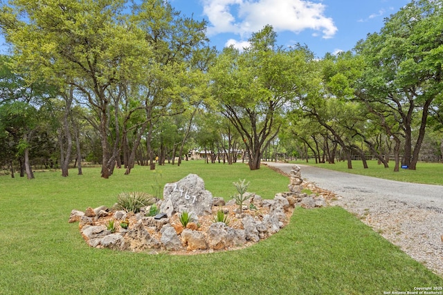 view of property's community featuring a yard