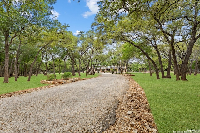 view of street with gravel driveway