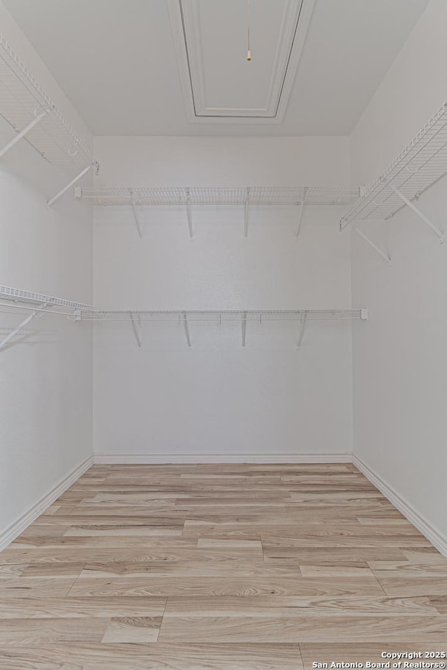 walk in closet with attic access and light wood-style floors