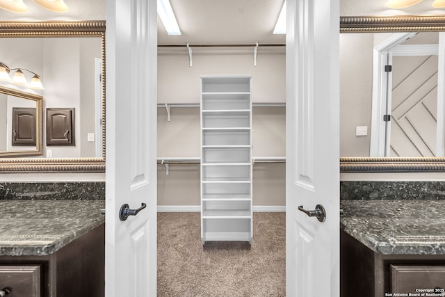 walk in closet with carpet flooring