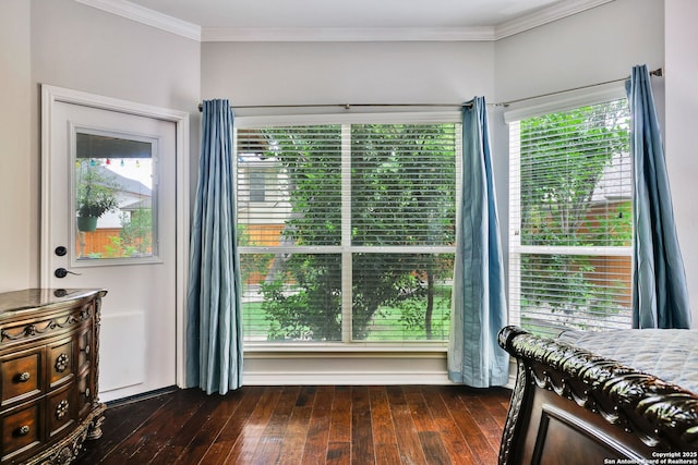 interior space featuring ornamental molding, dark wood-style flooring, and a healthy amount of sunlight