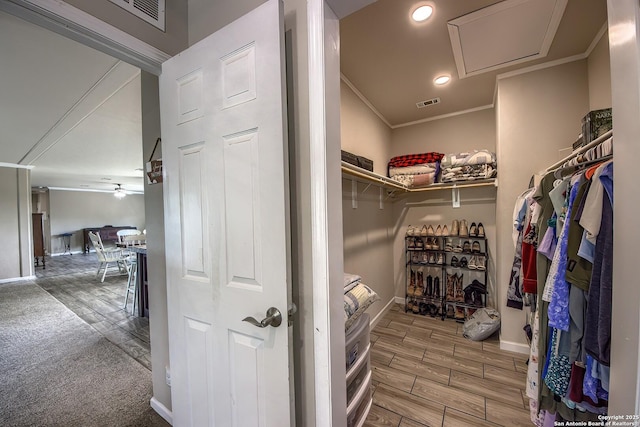 walk in closet featuring visible vents, ceiling fan, and light wood finished floors