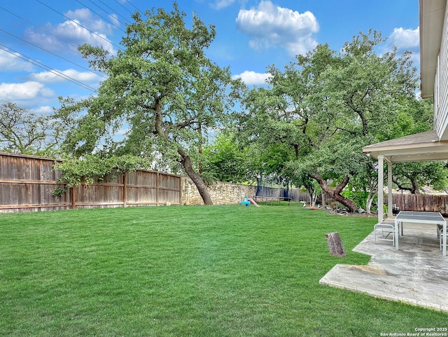 view of yard with a patio, a trampoline, and a fenced backyard