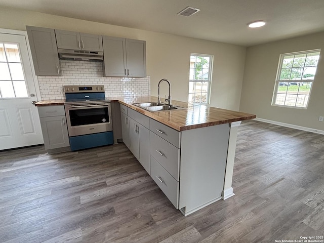 708 E 5th, Nixon, TX 78140 - kitchen featuring wooden counters, stainless steel range with electric stovetop, under cabinet range hood, and a sink