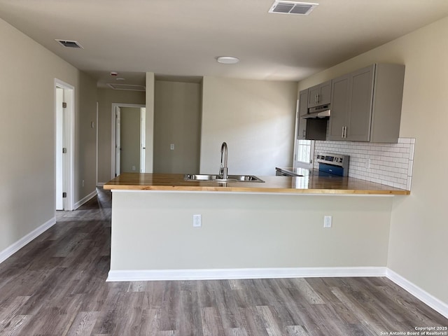 708 E 5th, Nixon, TX 78140 - kitchen with gray cabinets, stainless steel electric range oven, under cabinet range hood, a sink, and visible vents