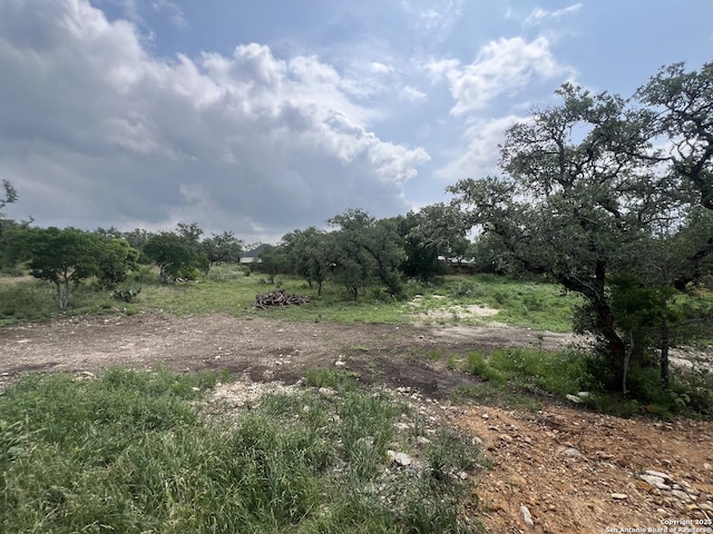 view of nature