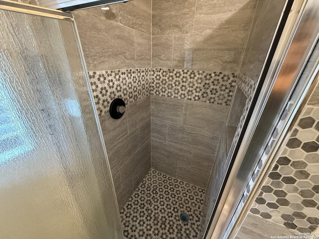 bathroom with a shower stall