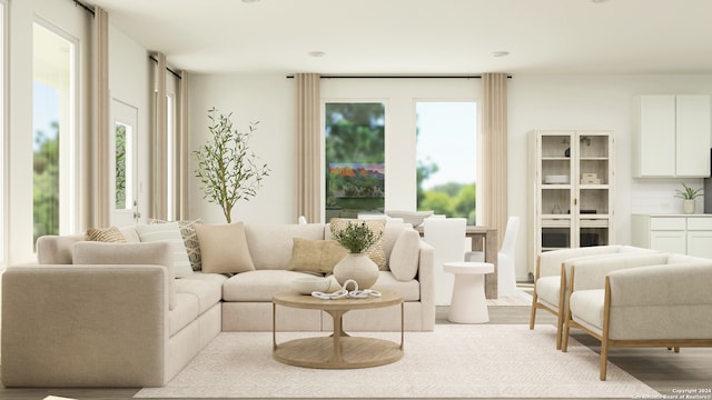 living area featuring wood finished floors and a healthy amount of sunlight