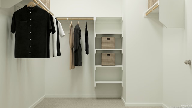 view of walk in closet