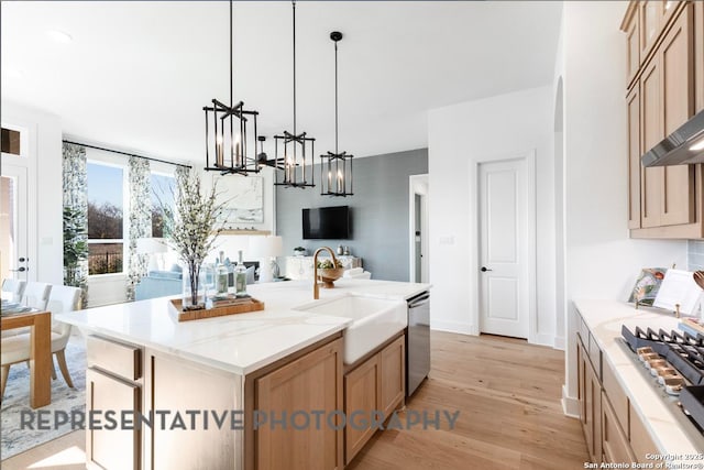 349 Hulda, New Braunfels, TX 78130 - kitchen featuring a sink, appliances with stainless steel finishes, an inviting chandelier, open floor plan, and light wood-type flooring