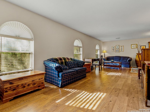 living room featuring light wood-type flooring