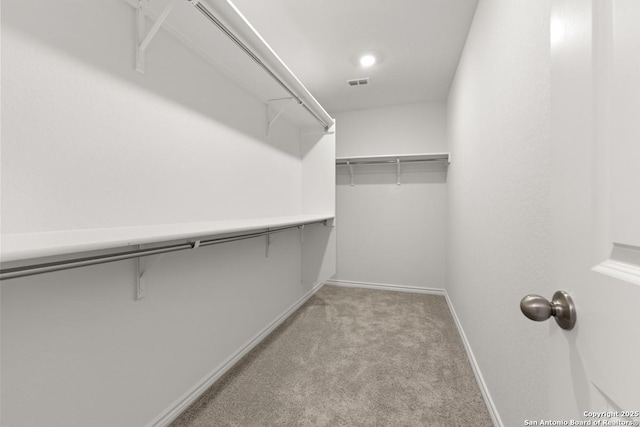 4770 Pico Pico St, San Antonio, TX 78222 - walk in closet featuring light carpet