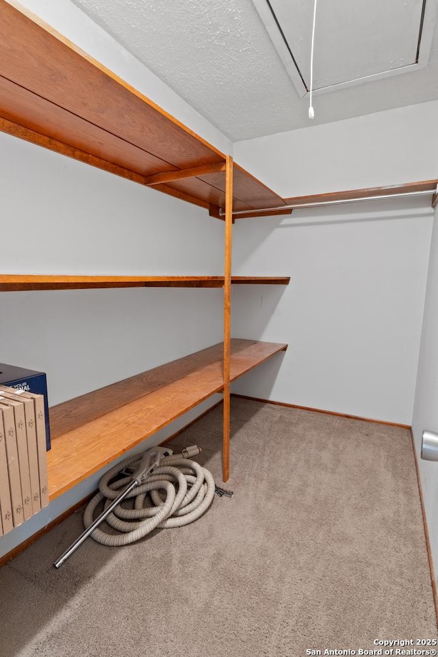 storage area with attic access