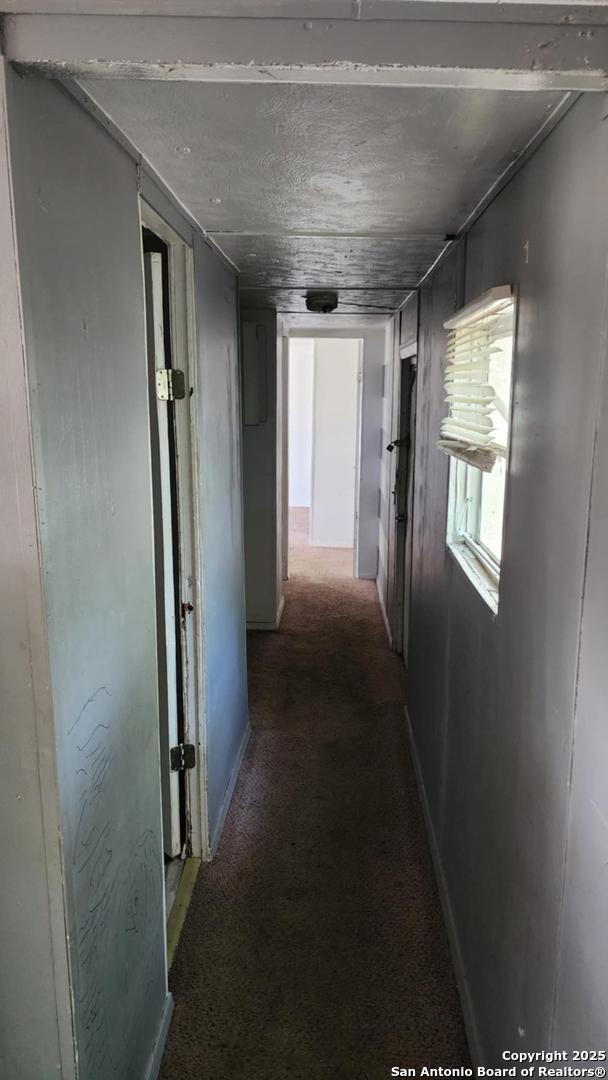 hallway with carpet flooring