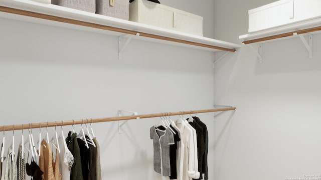 view of spacious closet