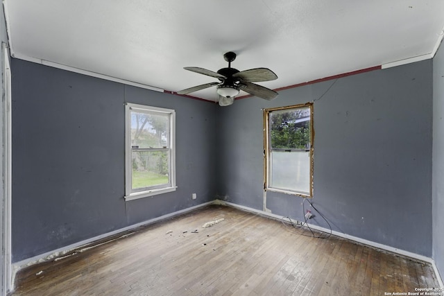 239 School Ave, New Braunfels, TX 78130 - spare room featuring hardwood / wood-style floors, plenty of natural light, a ceiling fan, and baseboards