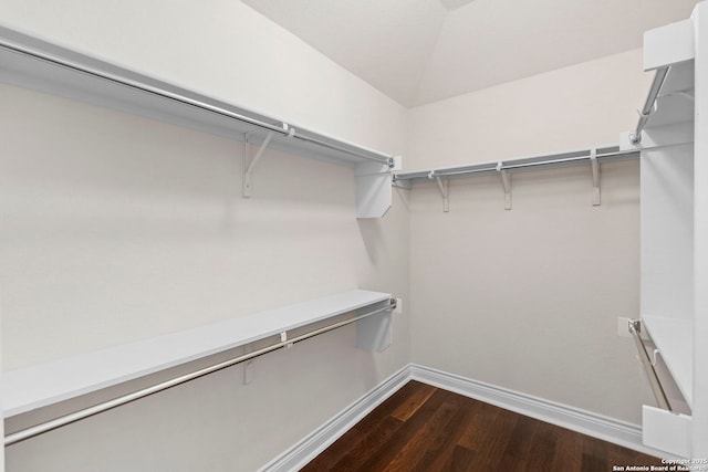 spacious closet featuring dark wood-style floors