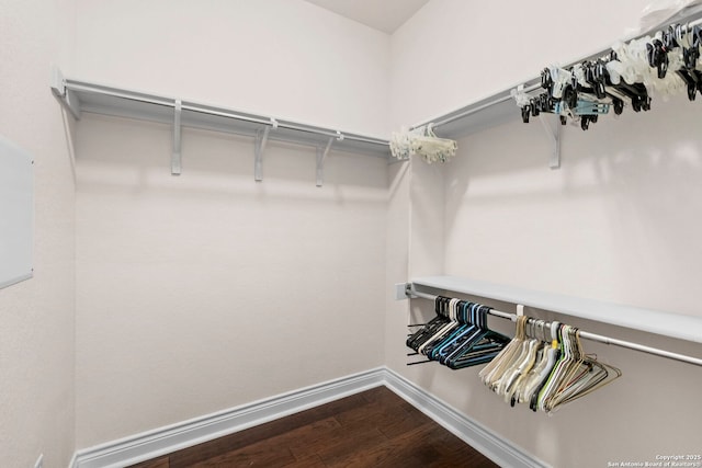 spacious closet with dark wood-style floors
