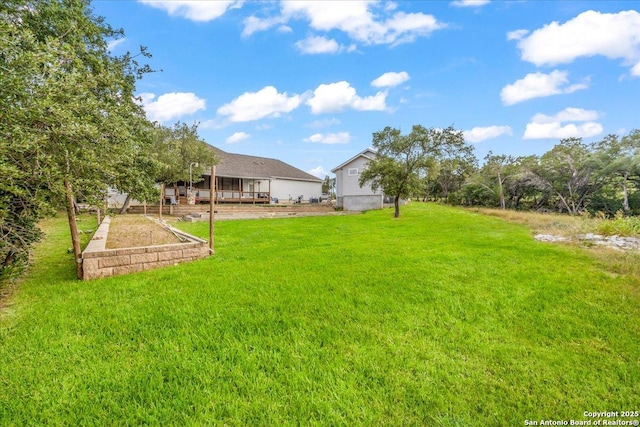 1547 Moon Vw, New Braunfels, TX 78132 - view of grassy yard