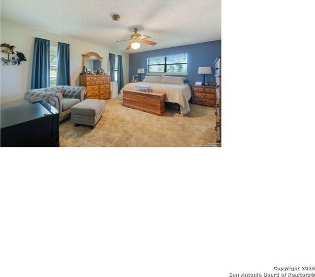 342 Turner, Pleasanton, TX 78064 - carpeted bedroom with a textured ceiling and a ceiling fan