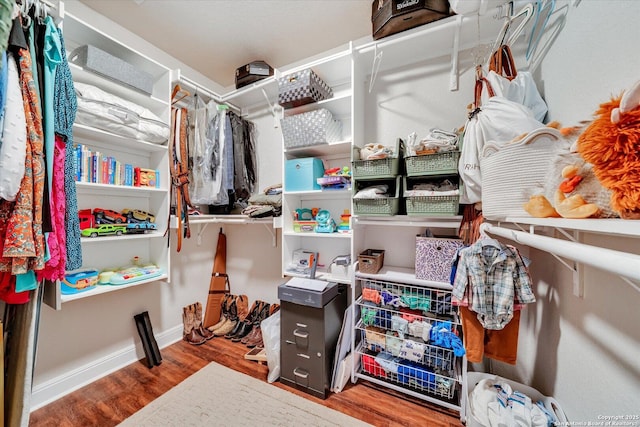 walk in closet featuring wood finished floors