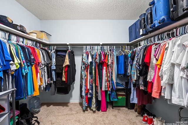 walk in closet featuring carpet