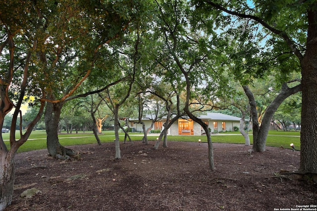 view of property's community featuring a yard