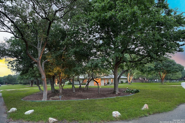 view of property's community featuring a yard