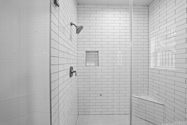 1050 Trail Pass Dr, Canyon Lake, TX 78133 - full bathroom featuring a shower stall