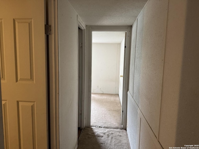 hall featuring carpet flooring, a textured ceiling, and a textured wall