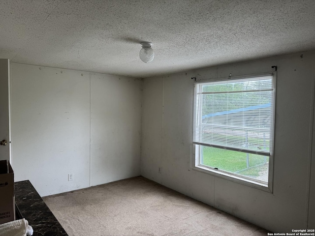 empty room with carpet flooring, a textured ceiling, and a wealth of natural light