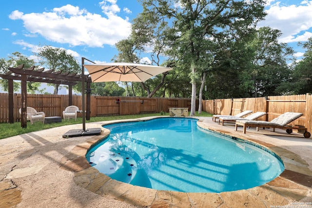 view of swimming pool featuring a fenced in pool, a fenced backyard, and a patio area