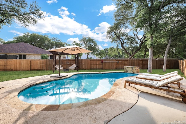 view of pool featuring a fenced in pool, a fenced backyard, and a patio area