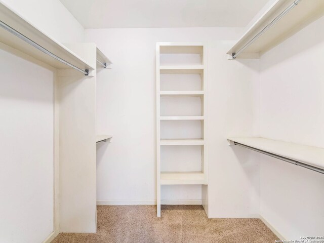 spacious closet featuring light colored carpet