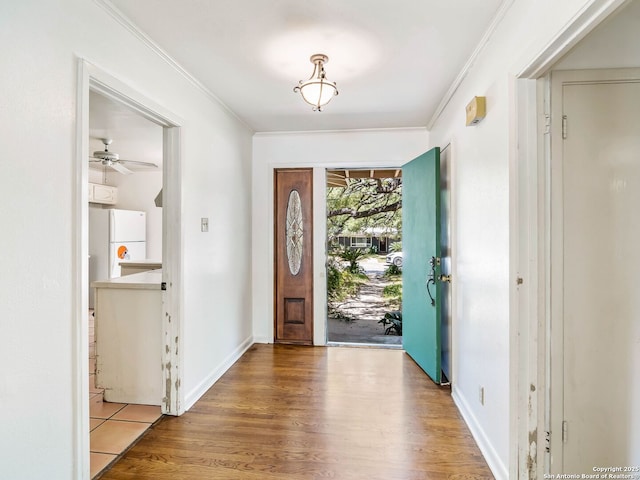 foyer entrance featuring crown molding, baseboards, ceiling fan, and wood finished floors