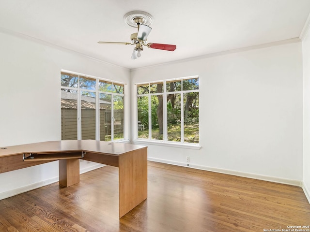 unfurnished office featuring crown molding, baseboards, a ceiling fan, and wood finished floors