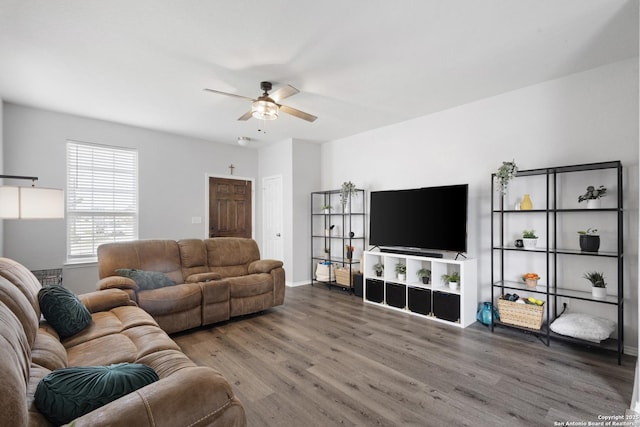 living room featuring ceiling fan and wood finished floors