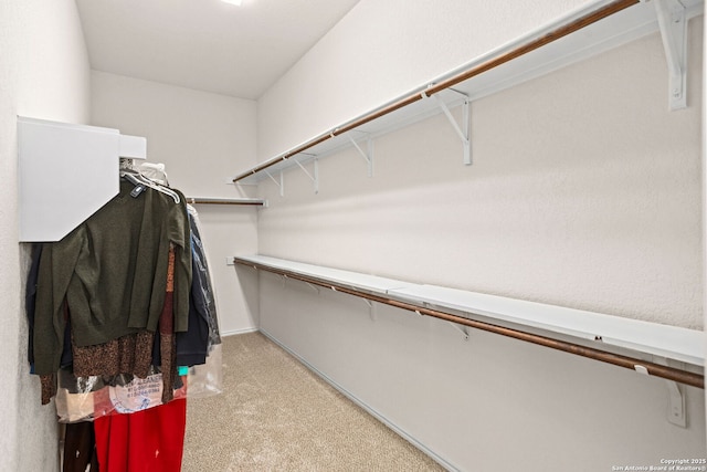 walk in closet featuring light carpet