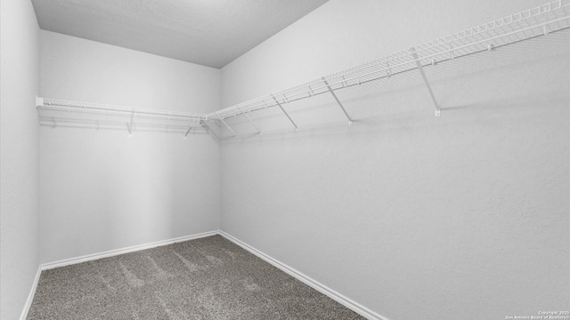 7350 Braes Cor, San Antonio, TX 78244 - spacious closet featuring carpet