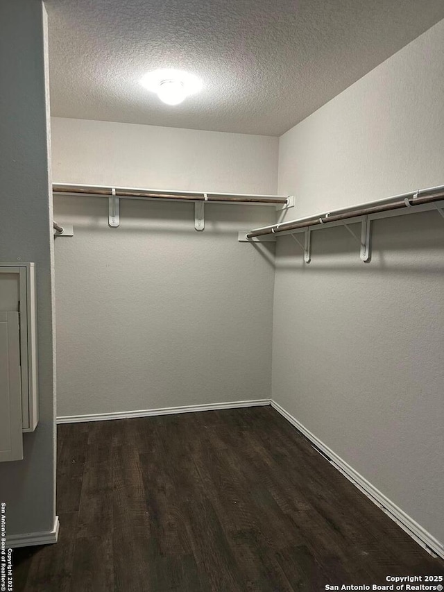 spacious closet with dark wood-style floors