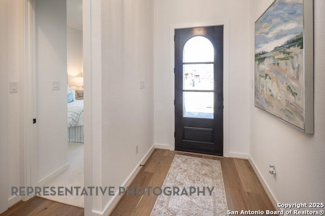 foyer entrance with baseboards, wood finished floors, and a wealth of natural light