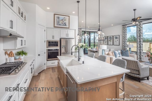 kitchen featuring open floor plan, under cabinet range hood, a sink, light wood finished floors, and appliances with stainless steel finishes