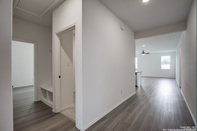 corridor featuring recessed lighting, baseboards, dark wood finished floors, and attic access