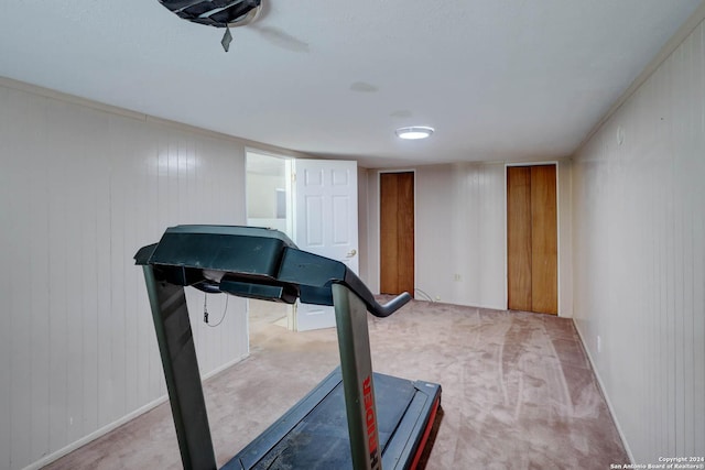 exercise area featuring carpet floors