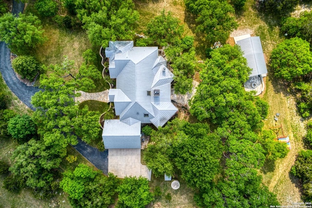 bird's eye view