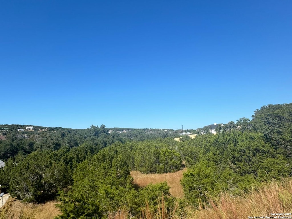 177 Magnolia, Canyon Lake, TX 78133