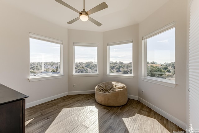 living area with ceiling fan, a wealth of natural light, and wood finished floors