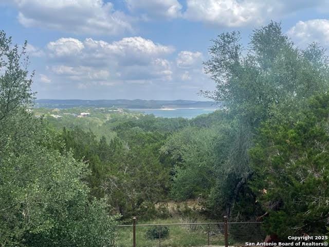 mountain view with a water view and a view of trees